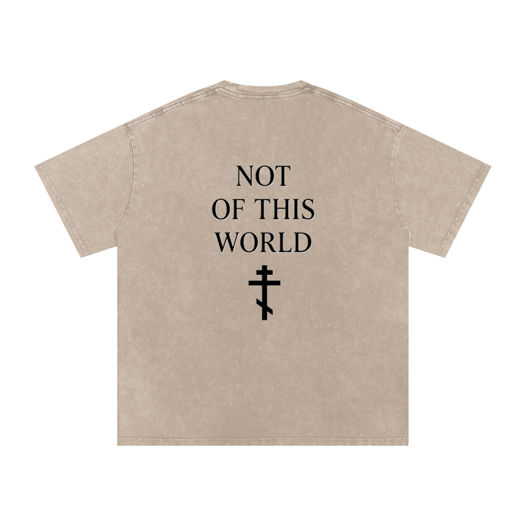 Not Of This World Washed T-Shirt